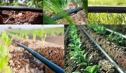 تصویر 2 از قیمت خرید لوله پلی اتیلن آبیاری قطره ای  + فروش ویژه